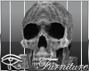 [D] Skull Animations 