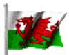 a welsh flag