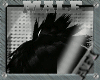 EMO SCENE BLACK GRAY