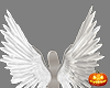 a.Angel White Wings