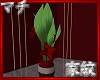 MK| Romance Plant 4