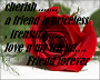 J* friendship (red Rose)