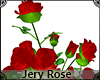 [JR] Roses Bush