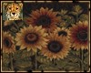 PdT SunflowerBrownRug