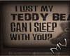 (MV) Lost Teddy Bear