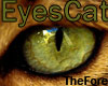 EyesCat