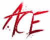 AcE:: Nametag