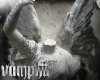 V† Cutout 5