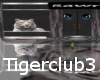 Tigerclub 3
