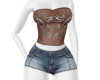 z. desy set v1