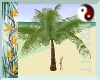{TFB} Small Palm Tree