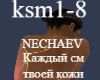 NECHAEV-Kajdyi sm kojy