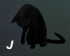 J~Amimated Black Cat