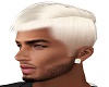 AS Winter White Hair