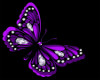 Purple butterfly couch