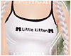 $K Little Kitten