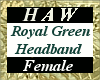 Royal Green Headband - F