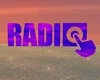 Radio & Youtube Player