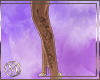 ℳ▸Queen Leg T.