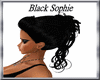 (TSH)Black Sophie