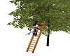 Picking Apples Ladder