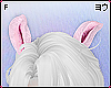 Bunnie ears pink F.