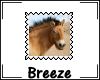 *B Horse stamp 06