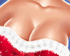 🎄 Santa 25.