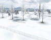 Winterland