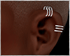 Ears Bat