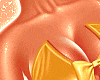 âï¸Golden Amber Satin