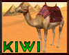 Camel