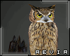 R║ Owl Post