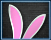 Bunny Ears M (Animated)