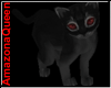 )o( Adult cat red eyes