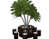 Palm seating area