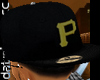 Pitsburg Fitted