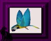 *L* Blue Macaw