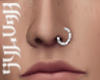SILVER NOSE RING