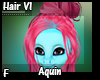 Aquin Hair V1 F