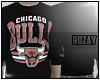 R0|Mitchell & Ness Bulls