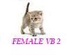 Ultimate Female VB 2of2