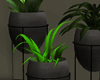 Plant Set