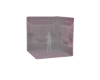v. Pink Misc