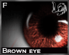 [LD] Brown Eyes Female