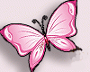 Butterfly Animated