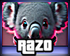 Koalita