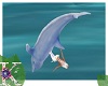 Coral Isle Dolphin Ride