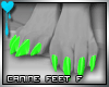 D~Canine Feet:Green F