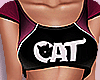 Cat Outfit